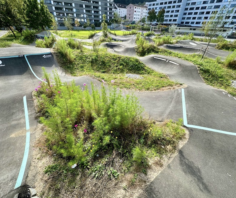 Ebikon pumptrack